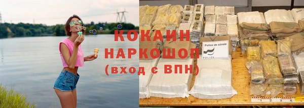 индика Алексеевка