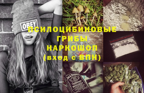 СК Алзамай