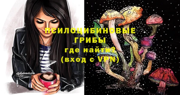 спиды Алексин