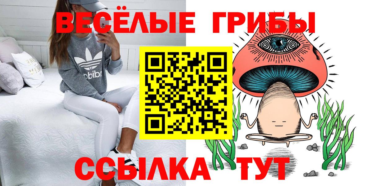 Заинск  Галлюциногенные грибы мухоморы  Вход с VPN  Псилоцибиновые грибы мухоморы 